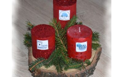 Przerwa świąteczna 24-28.12.